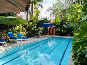 a swimming pool with two chairs and umbrellas at Casa Tres Colibries in Mérida