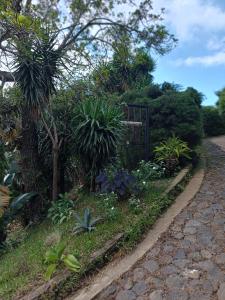 a garden with a gate and plants on a path at CASA JARDIN in Sonsonate