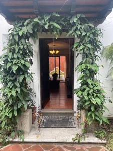 an entrance to a house with a bunch of plants at Acogedora casa con firepit in San Juan del Obispo