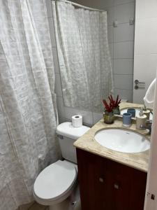 a bathroom with a white toilet and a sink at Cómodo departamento en el centro de Santiago in Santiago