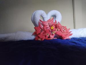 Ảnh trong thư viện ảnh của Green Line House ở Rio Celeste