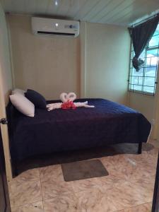 Ảnh trong thư viện ảnh của Green Line House ở Rio Celeste