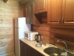 a kitchen with a counter with a microwave and a sink at Villa PidStromom in Mykulychyn