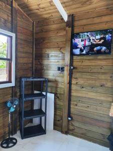 Zimmer mit einer Holzwand mit einer Leiter und einem TV in der Unterkunft Casa - Chalé da praia in Pontal do Paraná