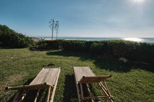 Bolonia Beach Campus في تريفة: مقعد خشبي جالس على العشب بالقرب من المحيط