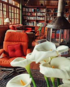 uma sala de estar com um sofá, uma cadeira e uma flor em Los Quetzales Ecolodge & Spa em Cerro Punta