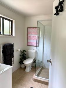a bathroom with a toilet and a glass shower at Maleny Lake Cottages in Maleny