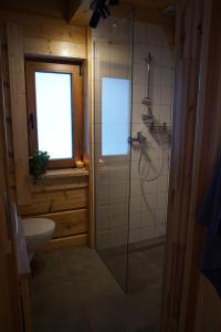 uma casa de banho com um chuveiro, um WC e uma janela. em Chata na Łazach em Piwniczna