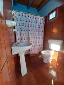 La salle de bains est pourvue d'un lavabo et de toilettes. dans l'établissement Casa de familia, à Cachí