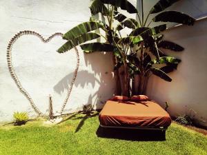 チクラナ・デ・ラ・フロンテーラにあるMis Princesas, con Barbacoa, Piscina, Parking privado y wifiの草の上に座る植物