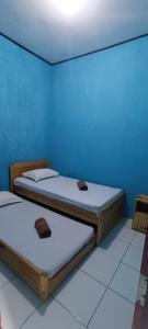 two beds in a room with a blue wall at Raja Ampat Sandy Guesthouse in Saonek