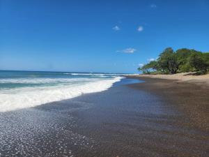 an empty beach with trees and the ocean at Casa Bellota in Marbella