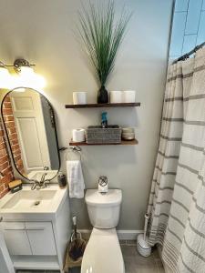 a bathroom with a toilet and a sink and a mirror at Modern Luxe 3BR/1BA with Bar in Columbus