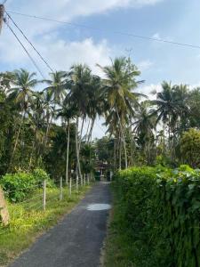 a road with palm trees on the side of it at OM Homestay in Bentota