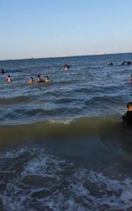 a group of people swimming in the ocean at marena in Ajman 