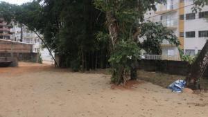 a beach with trees and sand and a building at Toninhas Camping Ubatuba in Ubatuba