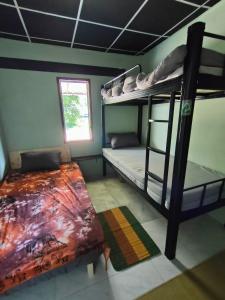 una camera con 2 letti a castello e una finestra di Tripovali guest 2 a Ko Phangan