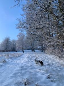 The Little House of Spa im Winter