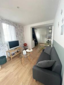 - un salon avec un canapé et une télévision dans l'établissement Petit maison avec terrasse proche de Rouen 1h30 de Paris, à Bihorel