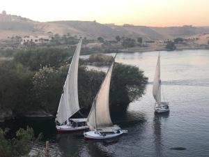 three sailboats in the water on a river at Nubian King in Aswan