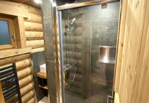 y baño con ducha y puerta de cristal. en L'OURSBLANC Chalet en rondins, en La Bresse
