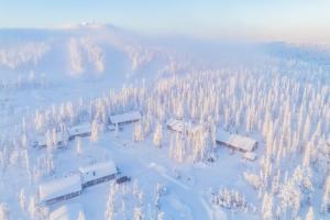 an aerial view of a snow covered forest with trees at Ruka Inn in Ruka