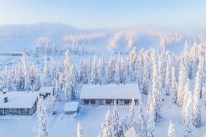 eine Hütte in einem verschneiten Wald mit schneebedeckten Bäumen in der Unterkunft Ruka Inn in Ruka