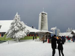 un grupo de personas de pie en la nieve frente a un edificio en Luxus Ferienwohnung Kaminzeit, en Goslar