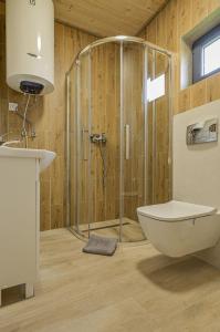 a bathroom with a shower and a toilet and a sink at Krynica Family House in Krynica Morska
