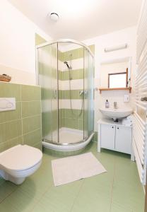 y baño con ducha, aseo y lavamanos. en Penzion Starý Pivovar en Křtiny