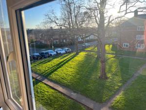 einen Blick aus dem Fenster eines Gartens mit parkenden Autos in der Unterkunft Cheltenham ,Gloucestershire,United Kingdom 