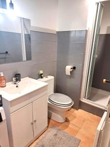 ein Bad mit einem WC, einem Waschbecken und einer Dusche in der Unterkunft NOUVEAU! Maison 2 pcs mezzanine dans résidence avec piscine in Tourrettes