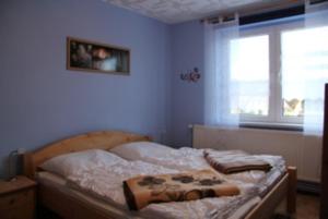 - une chambre avec un lit dans une pièce dotée d'une fenêtre dans l'établissement Ferienwohnung in Glowe auf Rügen, à Glowe