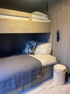 a dog laying on a bed in a cabin at Hjortehytte in Åfarnes