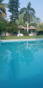 una piscina de agua azul con palmeras en el fondo en The Meadows Resort and Spa, en Aurangabad