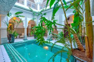 ein Hallenbad in einem Gebäude mit Pflanzen in der Unterkunft BÔ Riad Boutique Hotel & Spa in Marrakesch