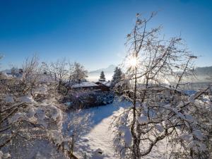 Paesaggio naturale nelle vicinanze dell'appartamento