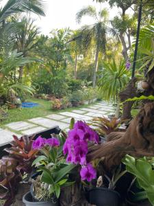 a garden with palm trees and purple flowers at Grand Manita Beach Resort in Lamai