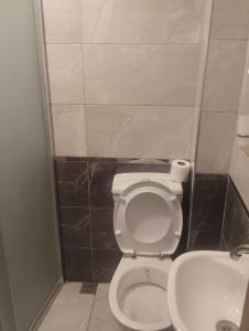 een badkamer met een wit toilet en een wastafel bij Mr Lion Kumkapı Otel in Istanbul