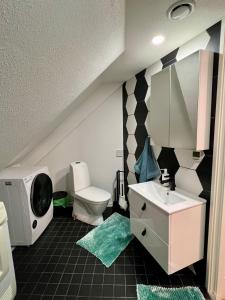 a bathroom with a sink and a toilet in it at Karlova Manor Apartments in Tartu