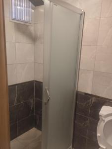 een badkamer met een douchecabine en een toilet bij Mr Lion Kumkapı Otel in Istanbul