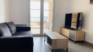 TV a/nebo společenská místnost v ubytování Appartement Les Oliviers L'ILE ROUSSE