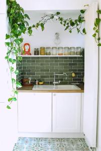 a kitchen with a sink and a green wall at Chez Frida - Sublime appartement - Centre Voiron in Voiron