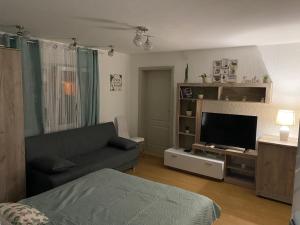 TV a/nebo společenská místnost v ubytování Apartman Happy 3