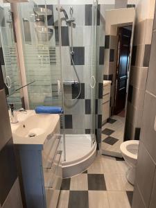 a bathroom with a shower and a sink and a toilet at Studio cosy dans le centre-ville historique in LʼIsle-sur-la-Sorgue +16 photos