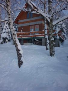 dom w śniegu z drzewami przed w obiekcie Świerkowy Zakątek u Bacy w mieście Wieprz
