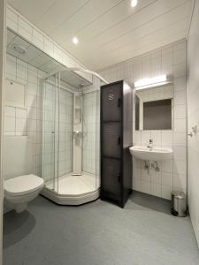 uma casa de banho com um chuveiro, um WC e um lavatório. em Vestfjordgata Apartment 1 em Svolvær