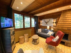 un soggiorno con un divano e una televisione di LE RENNE Chalet en bois au calme avec SPA Jacuzzi a La Bresse