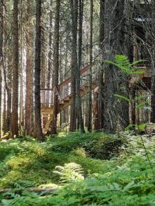 Gallery image of Treetop Ekne - Hytte i skogen med hengebru in Levanger