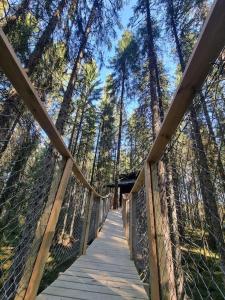 a wooden bridge in the middle of a forest at Treetop Ekne - Hytte i skogen med hengebru in Levanger